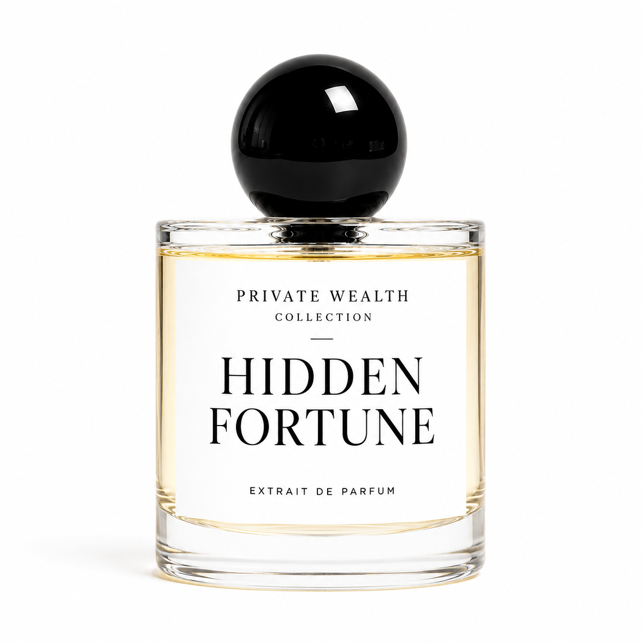 Hidden Fortune
